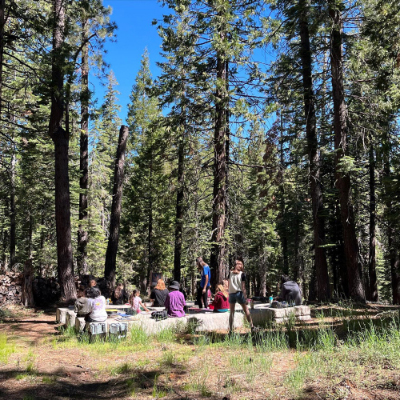 A group of children sitting around a forest campfire site in the daytime